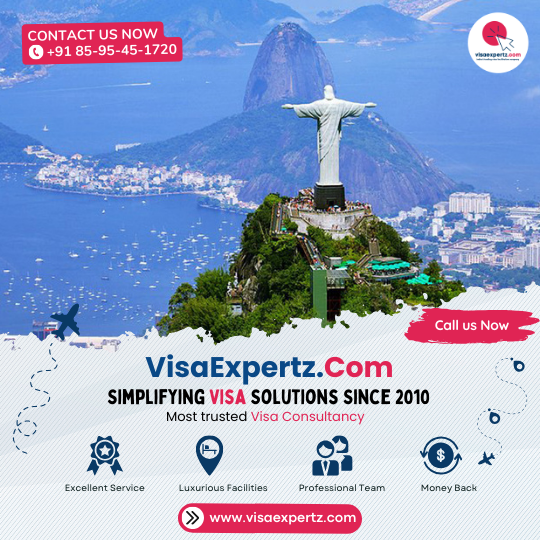 Brazil Visa Assistance