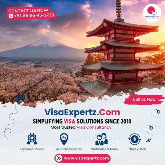 Japan Visa Assistance