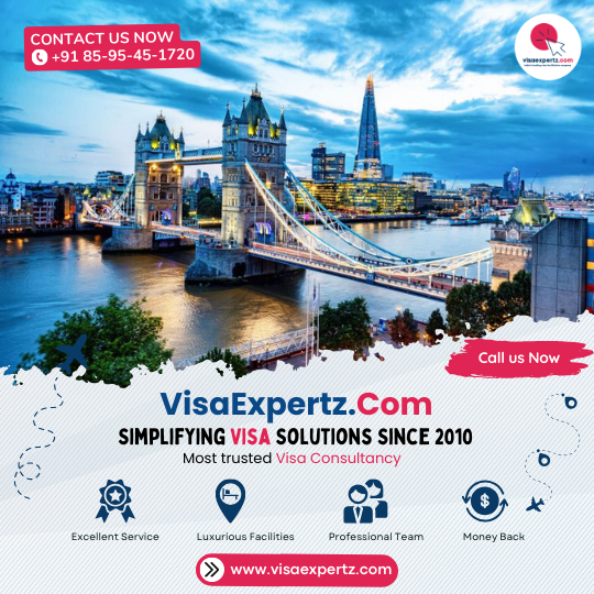 UK Visa Assistance